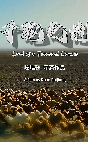 繁花